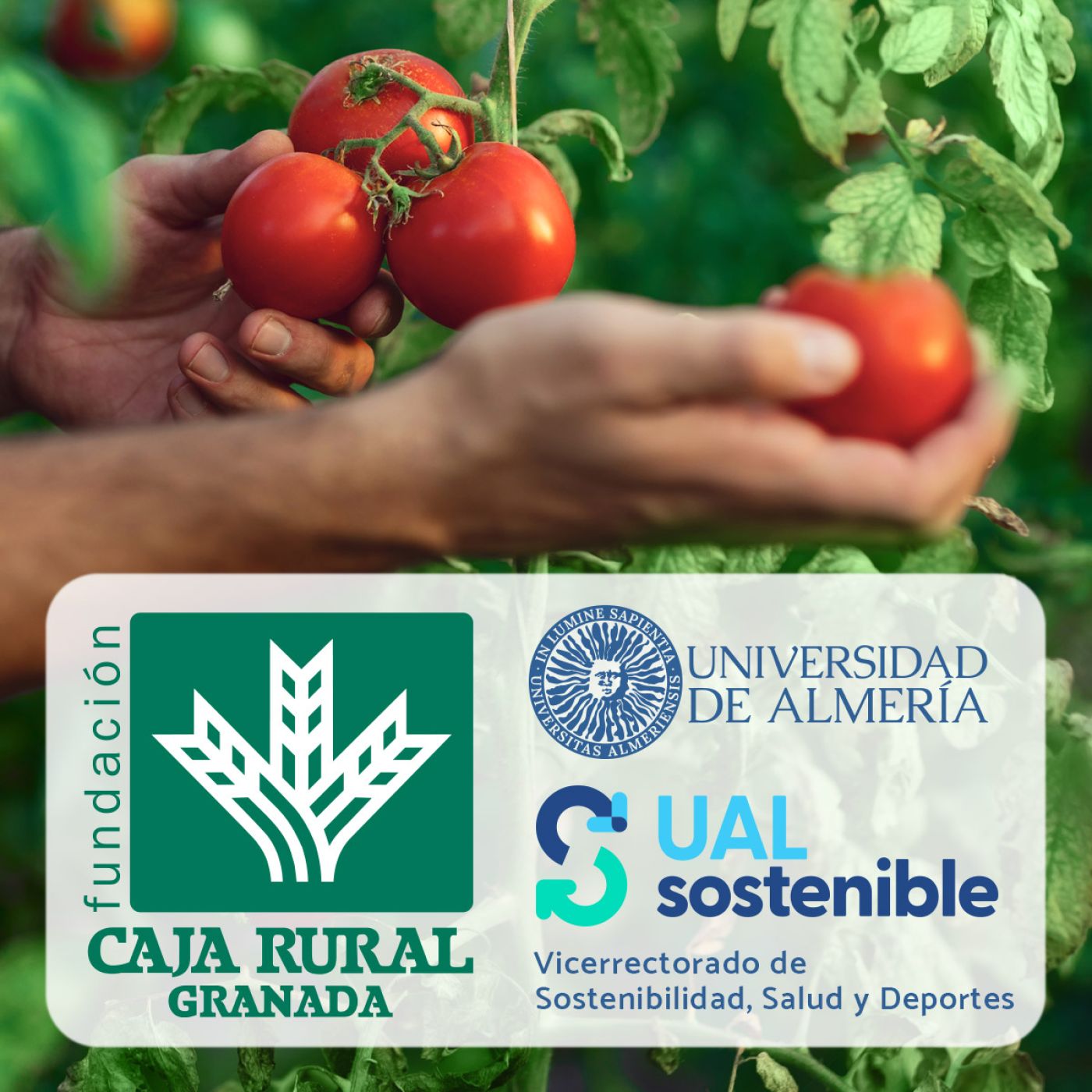 CiBiS: Proyecto Huerto inclusivo CiBiS/UAL