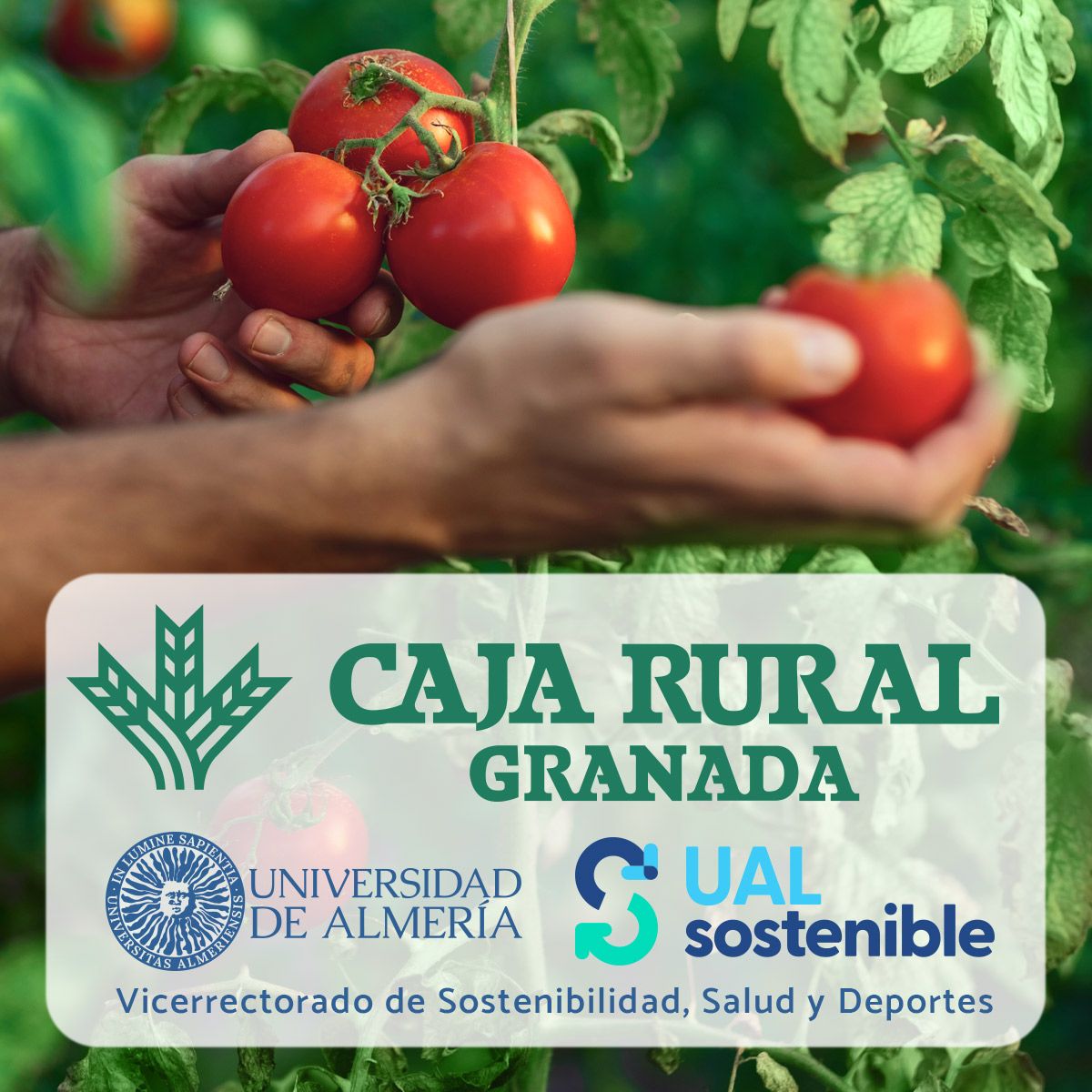 CiBiS: Proyecto Huerto inclusivo CiBiS/UAL