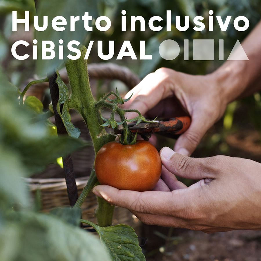 CiBiS: Huerto inclusivo CiBiS/UAL